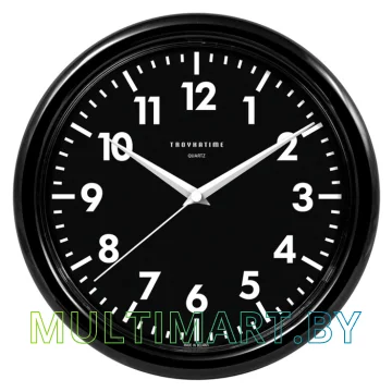 Настенные часы TROYKA 21200204